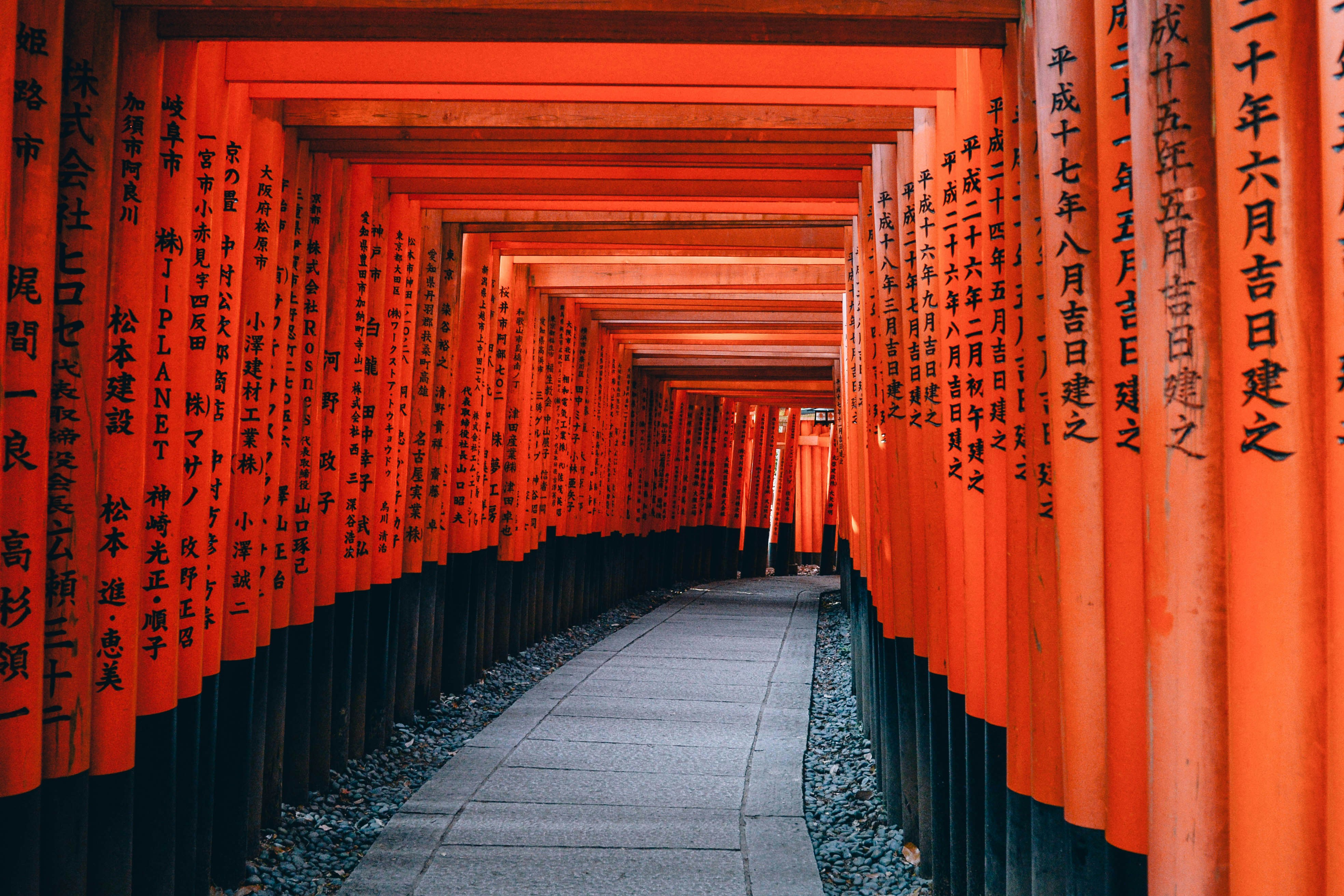 image de torii imbriqués